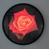 Rose for i.c. 2021. Ø 60 cm. LED lightbox. 35.000 DKK
